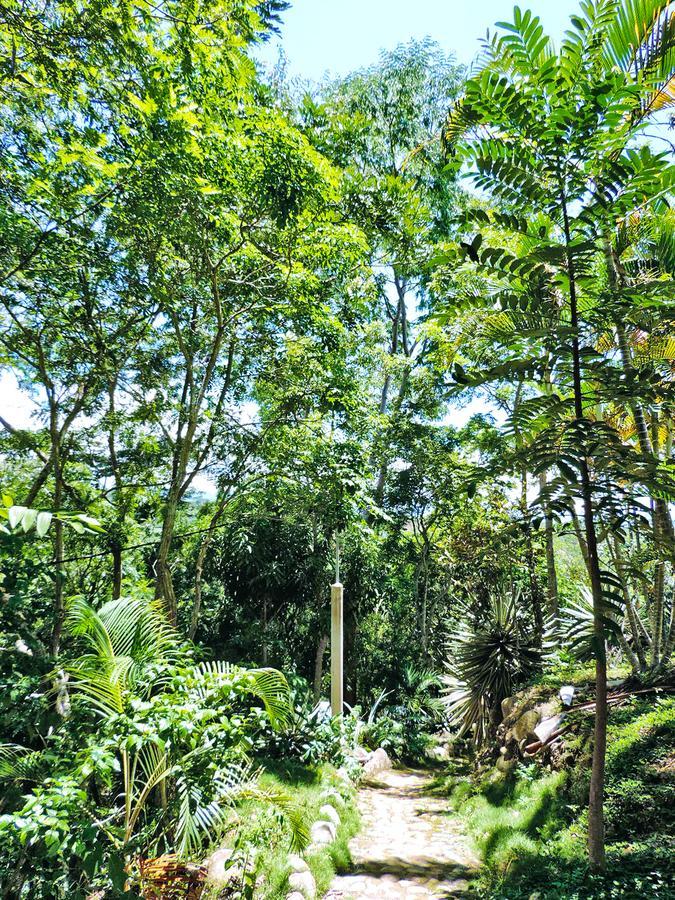 Yacumaman Sanctuary Villa Tarapoto Exterior foto