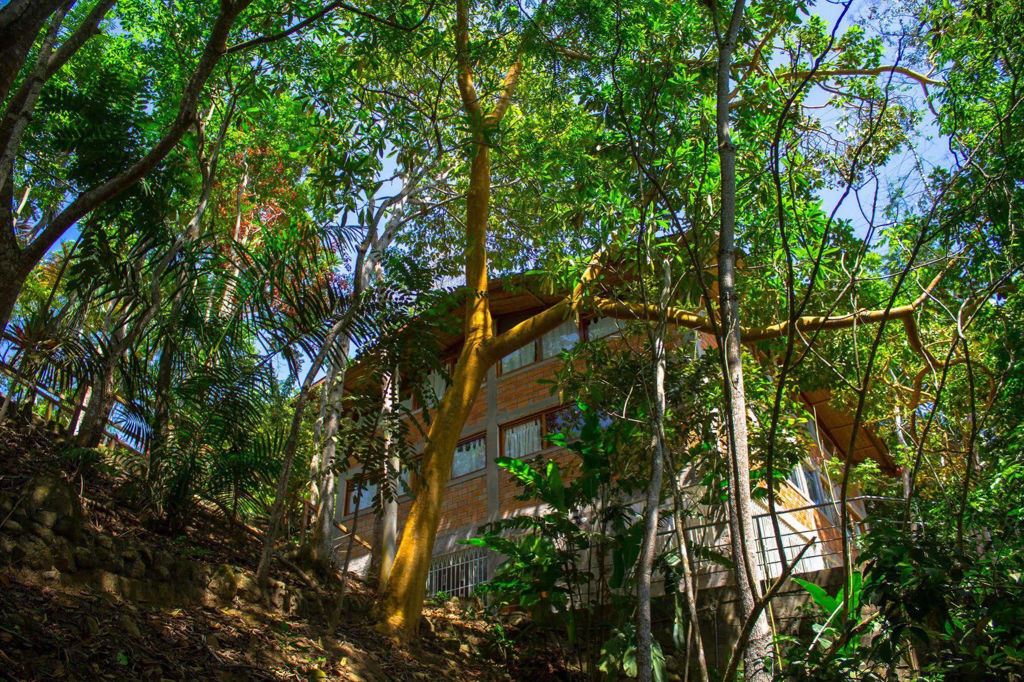 Yacumaman Sanctuary Villa Tarapoto Exterior foto